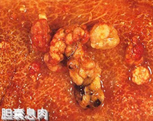 襄阳第三人民妇科医院